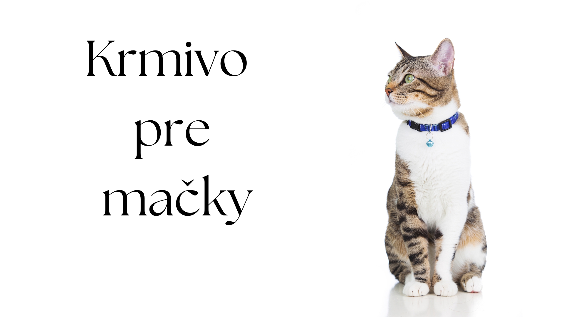 Krmivo pre mačky